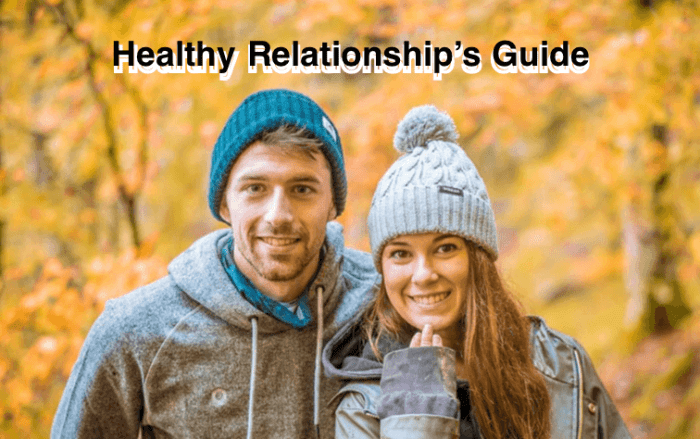 Healthy Relationship’s Guide